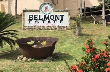 Belmont Estate Golden Coconut Rum 