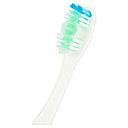 Colate Toothbrush